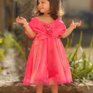 Pink Silky Stonework Frock