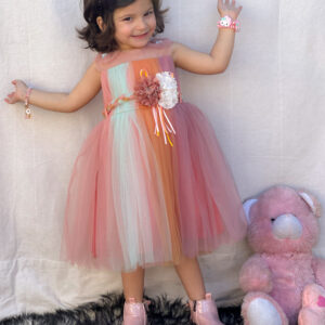 Colorful Tulle Frock