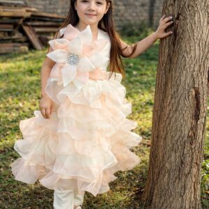 Peach & Off White Frill Frock