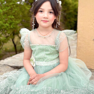 Pistachio Embroidery Tulle Frock